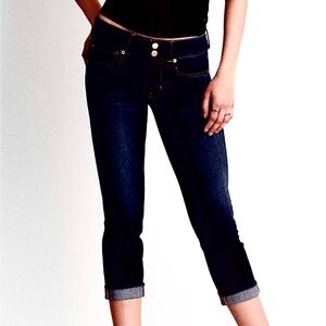 American Eagle Cropped Artist jeans